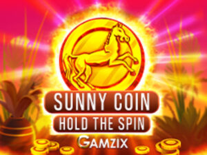 Sunny Coinn Hold The Spin